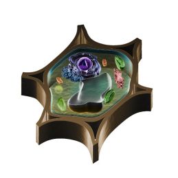 ITEM 1