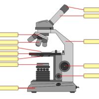 BioDesk -parts of the microscope
